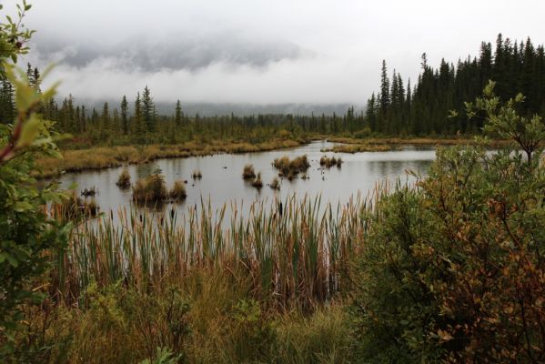 10 Vermilion Lakes
