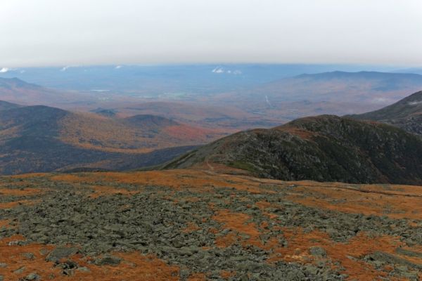 Mt Washington Tundra
