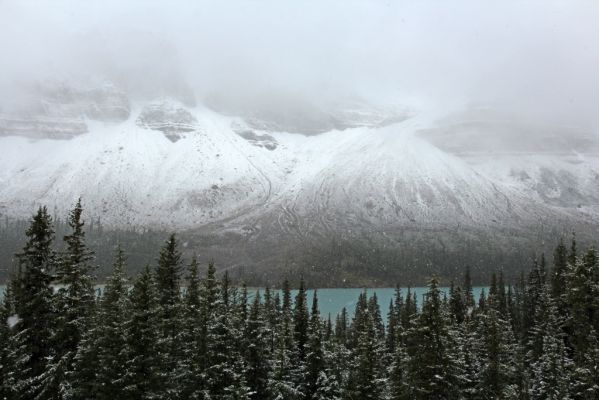 04 Bow Lake
