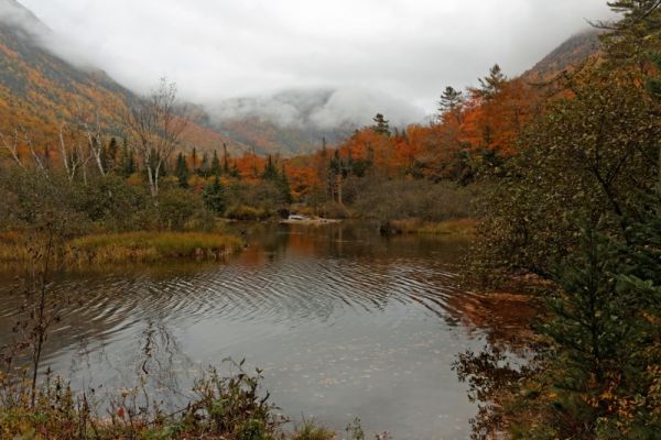 Crawford Notch Pond Loop Trail
