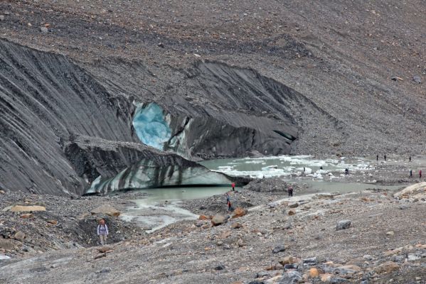 16 Columbia Icefield
