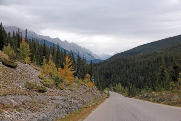 01Maligne Lake Rd
