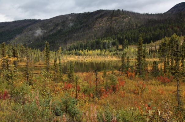 05 Yellowhead Hwy
