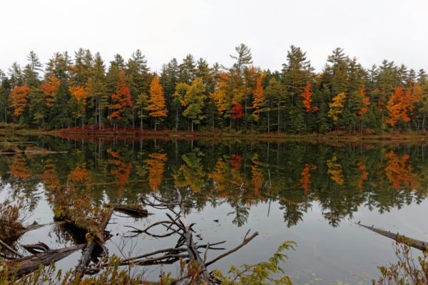Kancamagus Hwy Falls Pond
