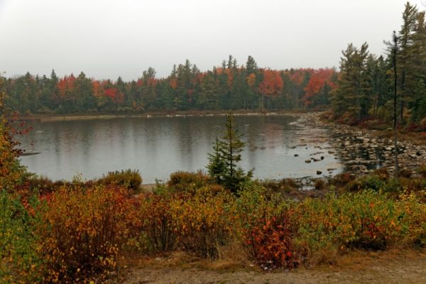Kancamagus Hwy Lily Pond

