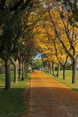 Burlington Battery Park
