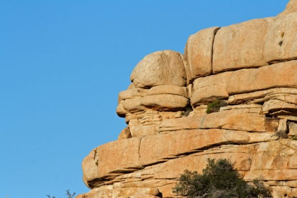 IMG_2328_DxO_raw_Joshua_Tree_NP_Barker_Dam_Trail_Kopffelsen_Forum.jpg