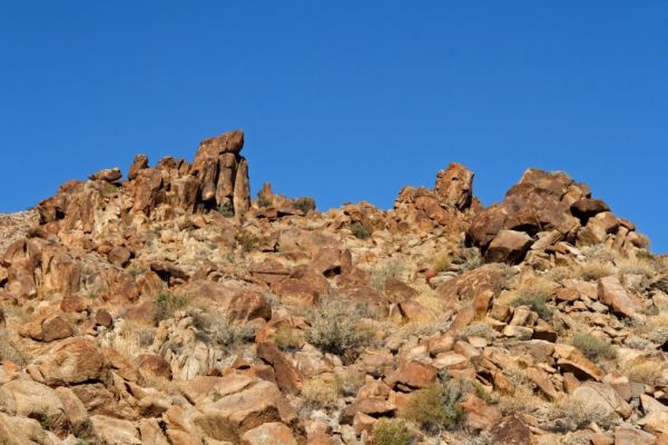 IMG_2362_DxO_raw_Joshua_Tree_NP_49_Palms_Trail_Forum.jpg