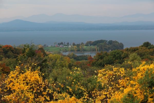 Shelburne Farms Lone Tree Hill Blick
