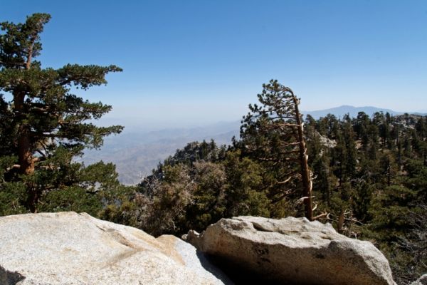 IMG_2403_DxO_raw_San_Jacinto_Peak_Forum.jpg