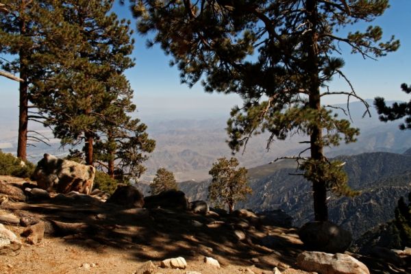 IMG_2414_DxO_raw_Mt_San_Jacinto_Desert_View_Trail_Forum.jpg