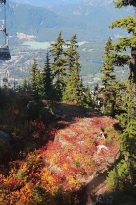 12 Whistler Village Gondola
