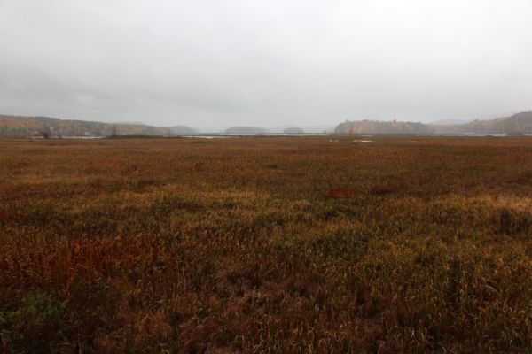 Tupper Lake
