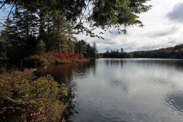 West Pond
