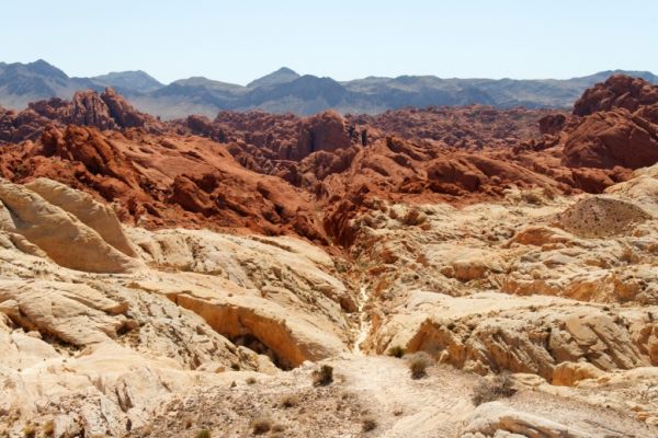 IMG_2683_DxO_raw_Valley_of_Fire_Fire_Canyon_Forum.jpg