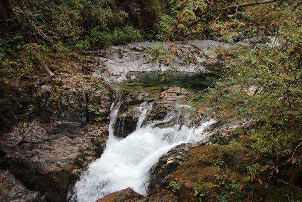 22 Little Qualicum Falls
