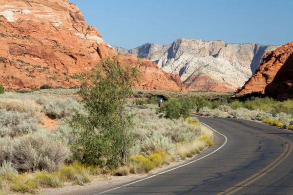 IMG_2718_DxO_raw_Snow_Canyon_Forum.jpg