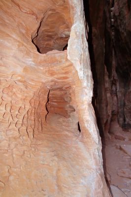 IMG_2727_DxO_Snow_Canyon_Jenny_Canyon_Forum.jpg