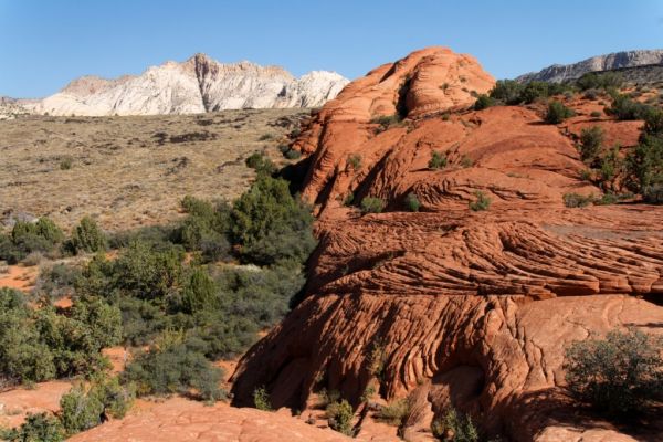 IMG_2759_DxO_raw_Snow_Canyon_Petrified_Sand_Dunes_White_Rocks_Forum.jpg