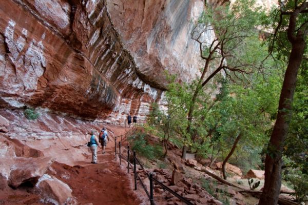 IMG_2796_DxO_raw_Zion_NP_Lower_Emerald_Pool_Trail_Forum.jpg