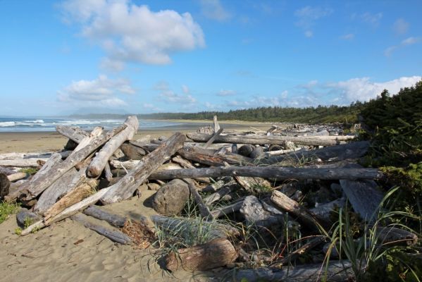 02 Wickaninnish Beach
