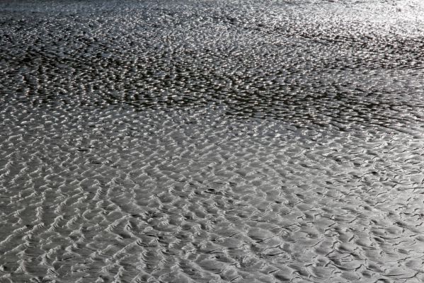 05 Wickaninnish Beach
