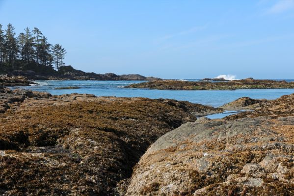 09 Wickaninnish Beach
