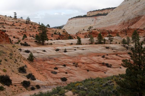 IMG_2823_DxO_raw_Zion_NP_Felsformationen_Forum.jpg