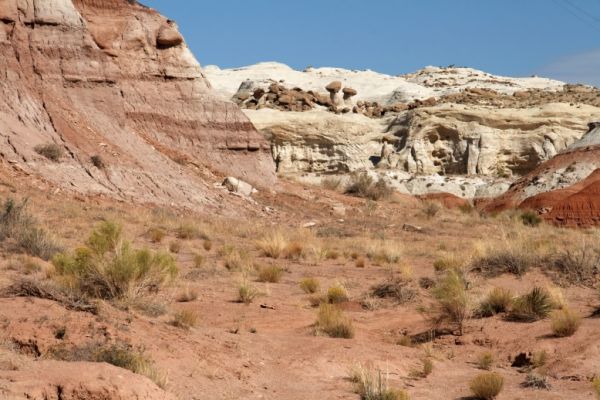 IMG_2981_DxO_raw_Weg_zum_Toadstool_Hoodoo_Forum.jpg