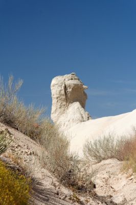 IMG_2992_DxO_raw_beim_Toadstool_Hoodoo_Forum.jpg