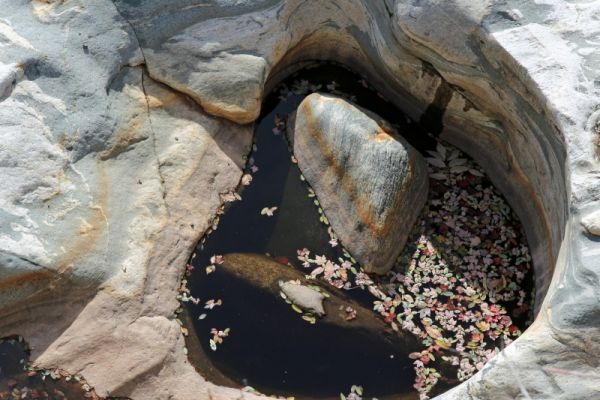 Shelburne Falls Glacial Pothole
