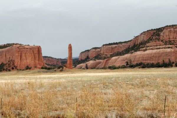 IMG_3211_DxO_raw_Cleopatras_Needle_Forum.jpg