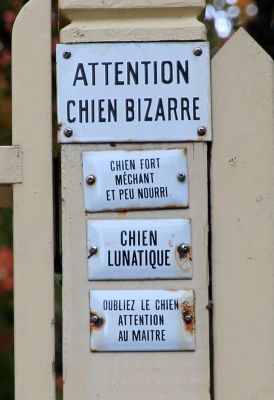 Providence Benefit Street Chien Bizarre
