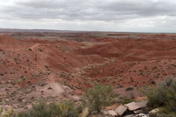 IMG_3298_DxO_raw_Petrified_Forest_NP_Painted_Desert_Forum.jpg