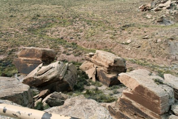 IMG_3337_DxO_raw_Petrified_Forest_NP_Newspaper_Rock_Forum.jpg