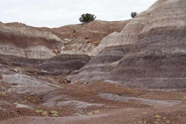 IMG_3354_DxO_raw_Petrified_Forest_NP_Blue_Mesa_Forum.jpg