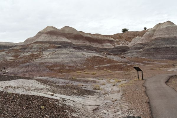 IMG_3360_DxO_raw_Petrified_Forest_NP_Blue_Mesa_Forum.jpg