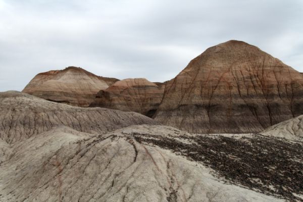 IMG_3376_DxO_raw_Petrified_Forest_NP_Blue_Mesa_Forum.jpg