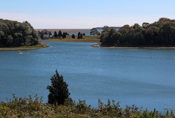 Cape Cod National Seashore Eastham Salt Pond
