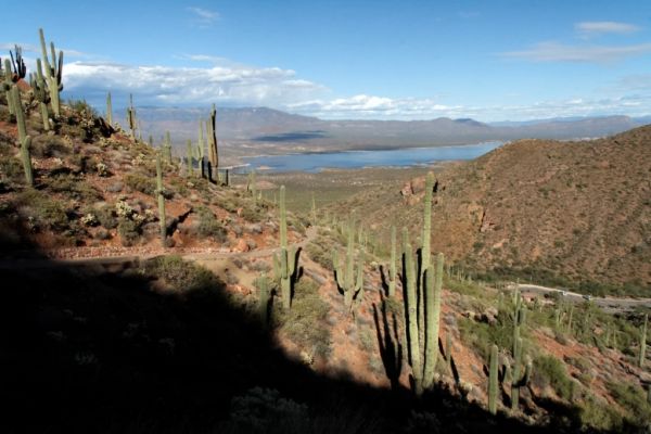 IMG_3670_DxO_raw_Tonto_NM_Theodore_Roosevelt_Lake_Forum.jpg