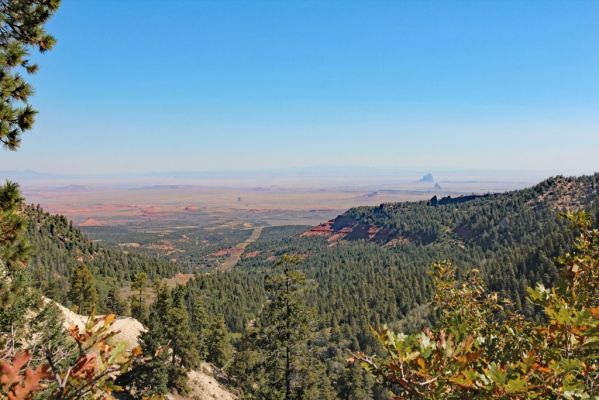14 Buffalo Pass
