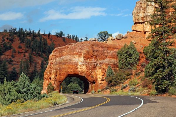 01 Red Canyon
