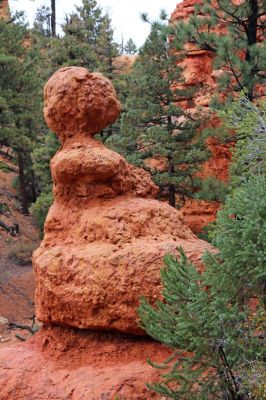 03 Red Canyon
