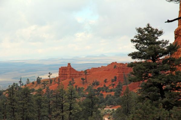 05 Red Canyon
