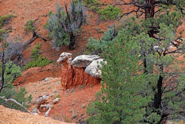 09 Red Canyon
