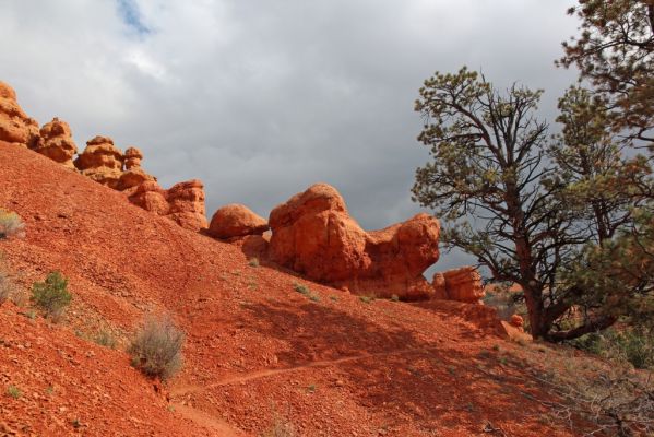 10 Red Canyon
