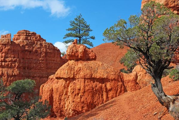 11 Red Canyon
