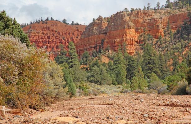 12 Red Canyon
