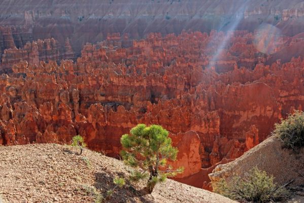 25 Bryce Canyon
