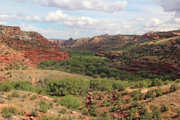 28 Escalante River
